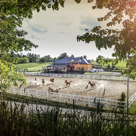 Hotel Horse Riding - Jezdecký Areál Tršice Buitenkant foto