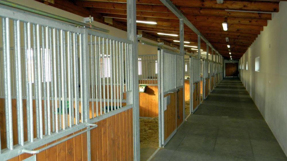 Hotel Horse Riding - Jezdecký Areál Tršice Buitenkant foto