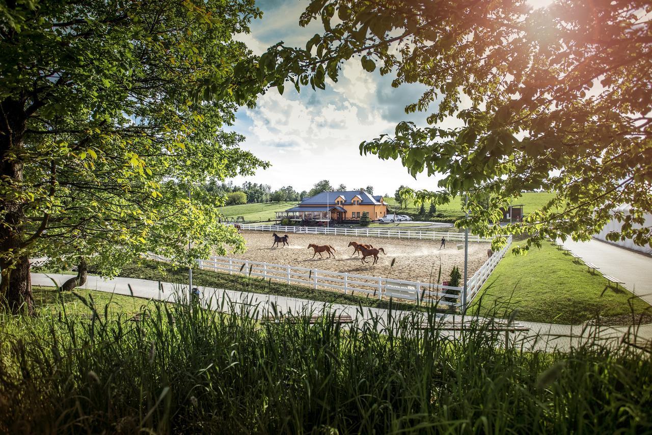 Hotel Horse Riding - Jezdecký Areál Tršice Buitenkant foto
