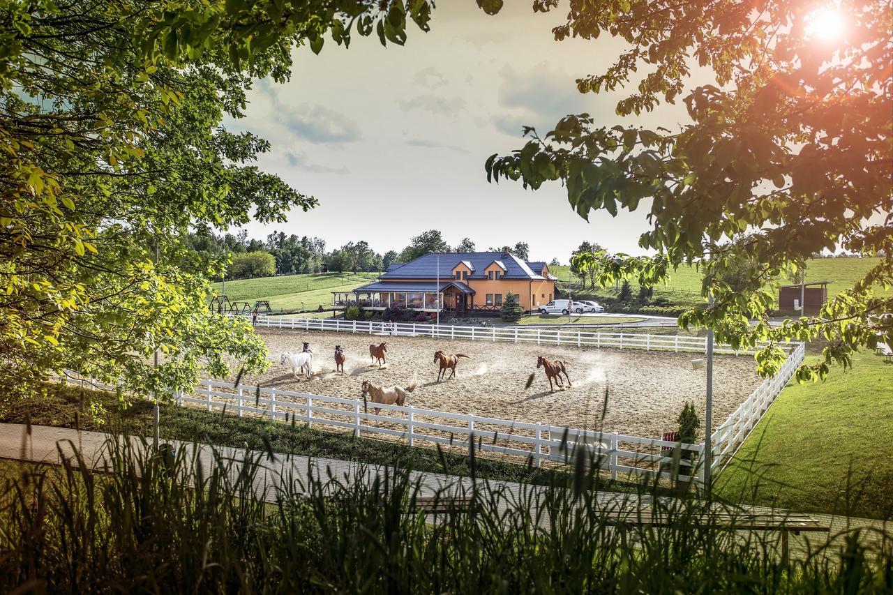 Hotel Horse Riding - Jezdecký Areál Tršice Buitenkant foto