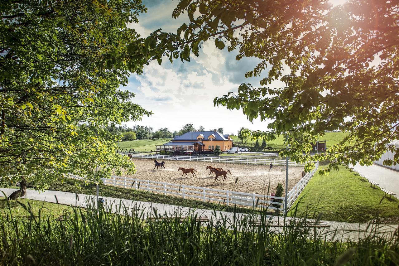 Hotel Horse Riding - Jezdecký Areál Tršice Buitenkant foto