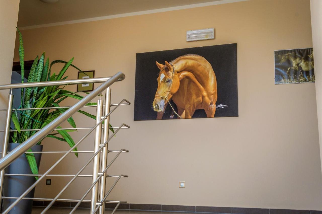 Hotel Horse Riding - Jezdecký Areál Tršice Buitenkant foto